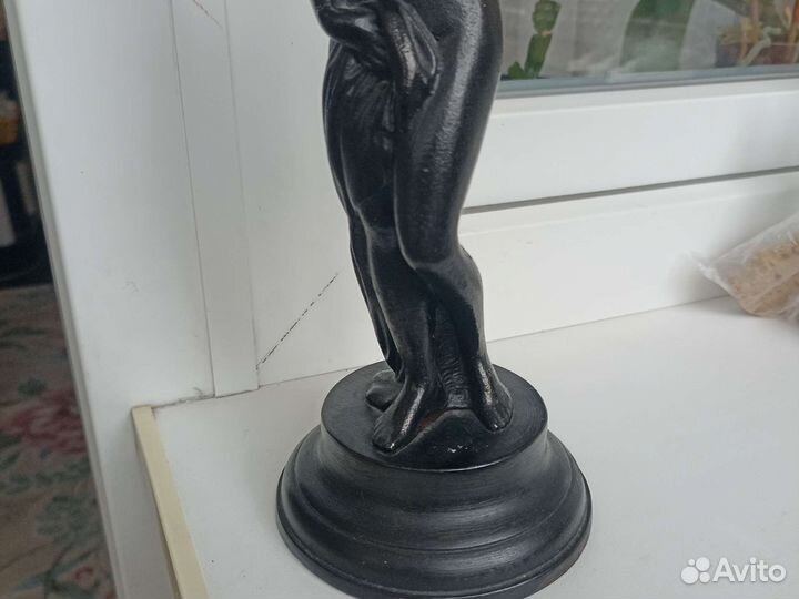 Венера Касли