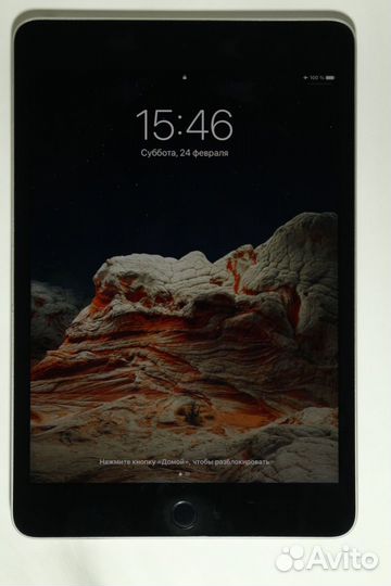 iPad mini 4 cellular