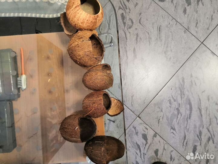 Какос укрытие