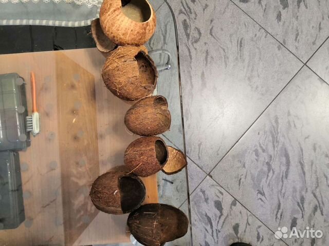 Какос укрытие