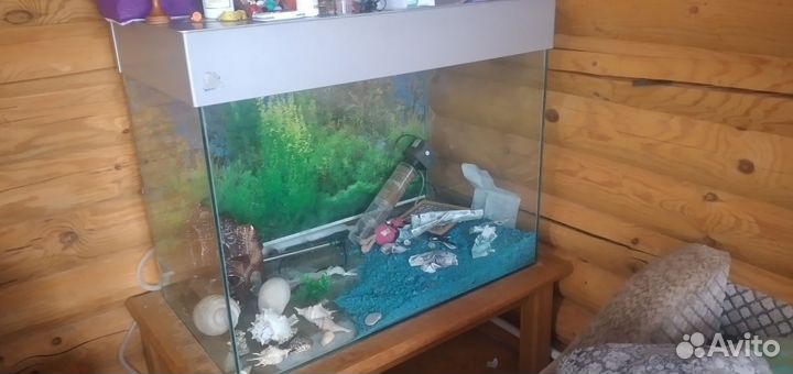 Аквариум с тумбой 500 литров бу