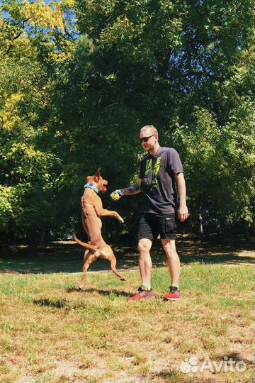 Кинолог-Зоопсихолог