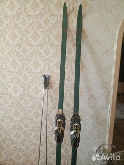 Беговые лыжи