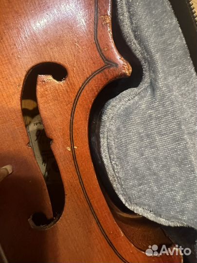 Скрипка 2/4