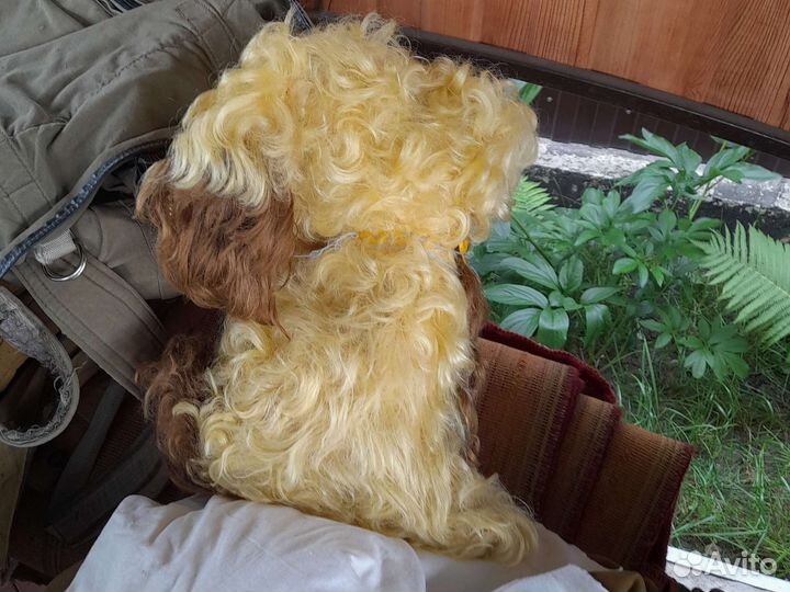 Игрушка собака СССР