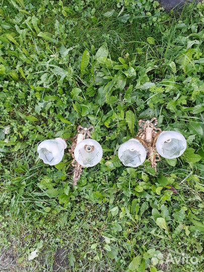 Старинные люстры и бра