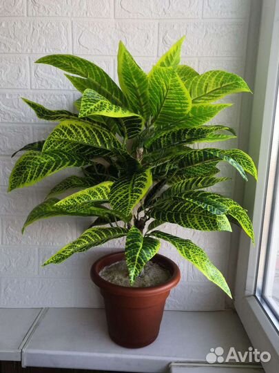 Бонсай искуственный