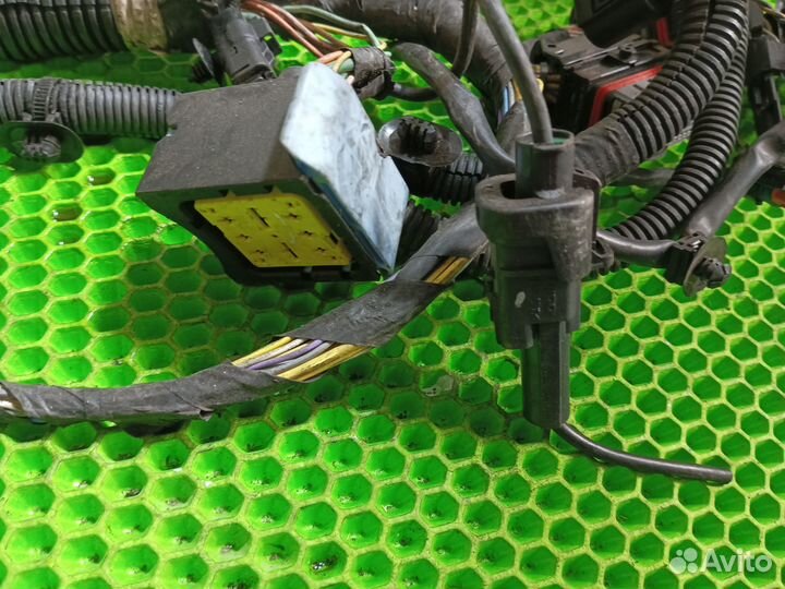 Проводка (коса) Ford Focus