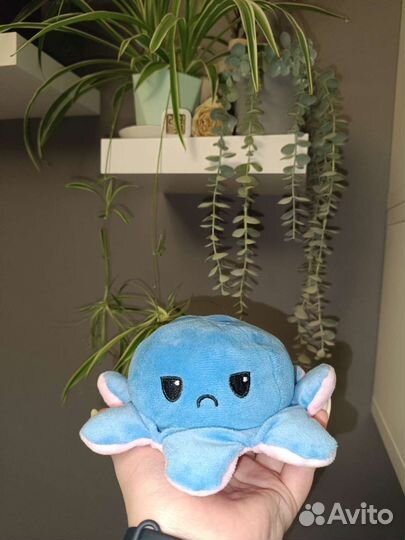 Осьминог перевертыш