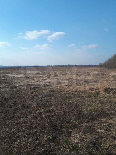 Участок 2,5 га (СНТ, ДНП)