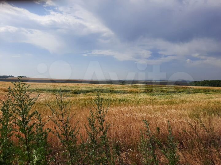 Участок 18,5 га (СНТ, ДНП)