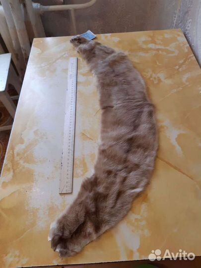 Меховой воротник норка