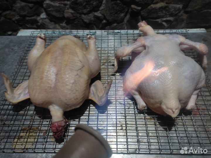 Тушенка куриная, говяжья, свинная