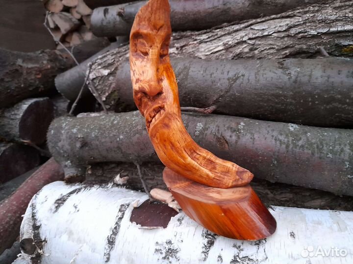 Корнепластика