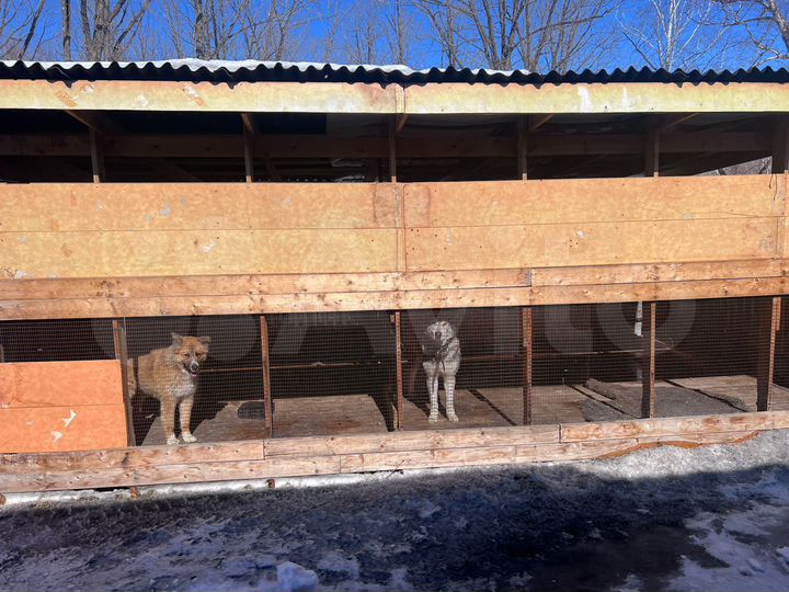 Дом 253,2 м² на участке 75 сот.