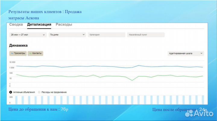 Авитолог, Услуги авитолога
