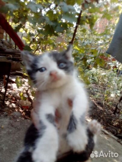 Отличные пацаны