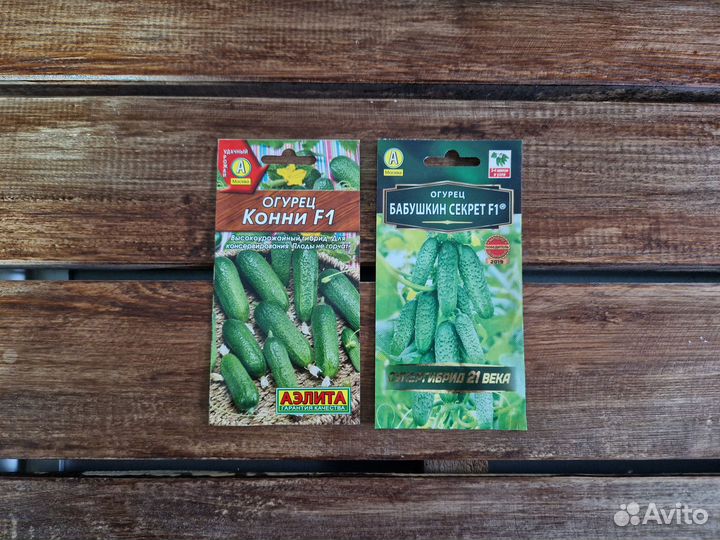 Семена огурцов №1