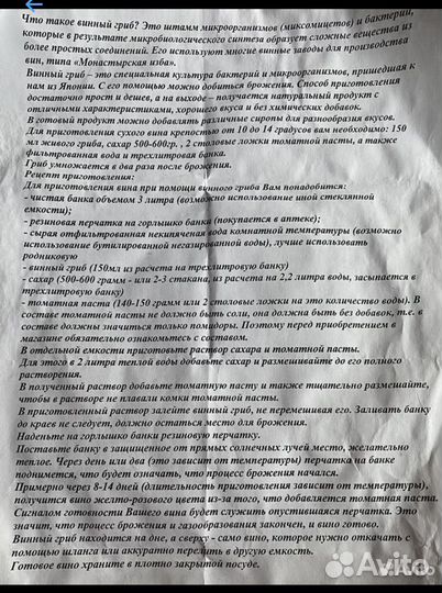 Винный гриб