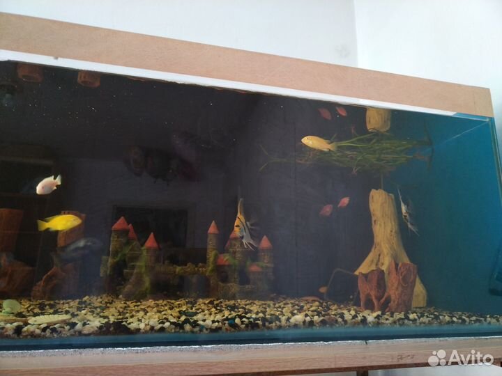 Продам Аквариум