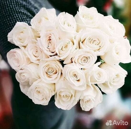 Высокие розы Гигантские Розы 150 160 170 180 190см