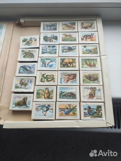 Спички коллекционные