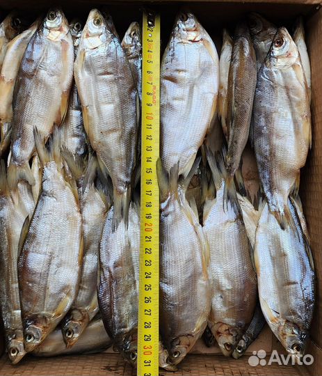 Пелядь вяленая