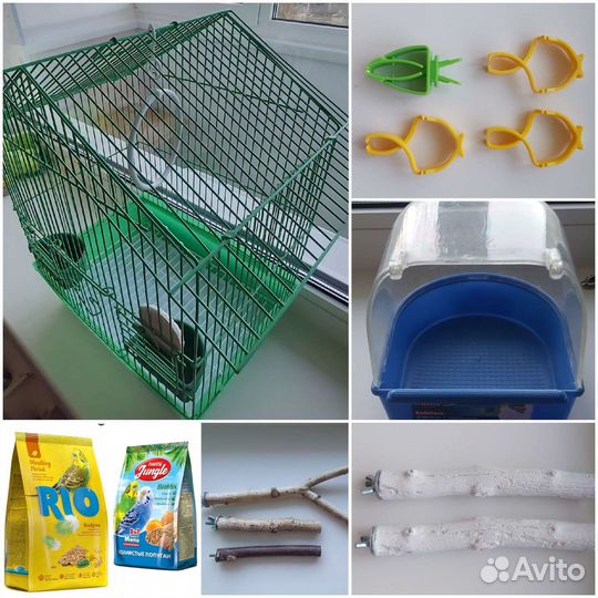 Всё необходимое для попугаев или небольших птиц