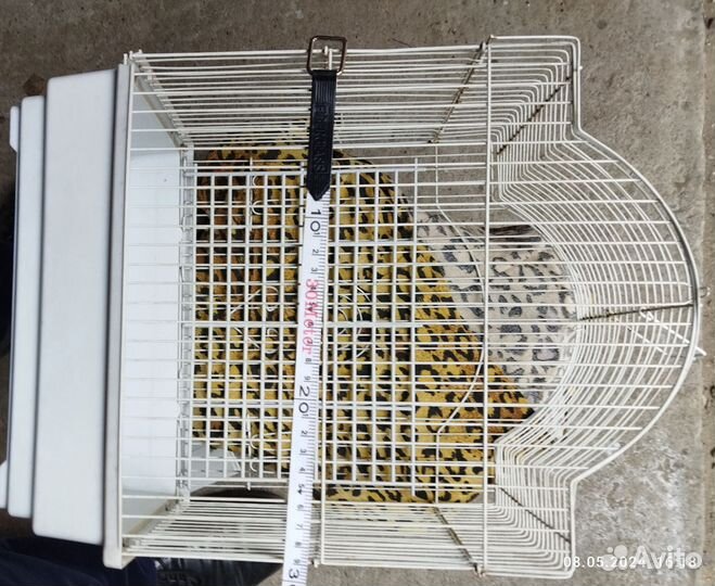 Клетка для грызунов