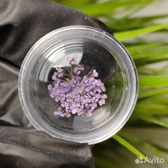 Сухоцветы для дизайна ногтей