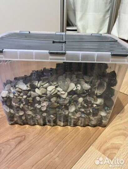 Аквариум 30 литров
