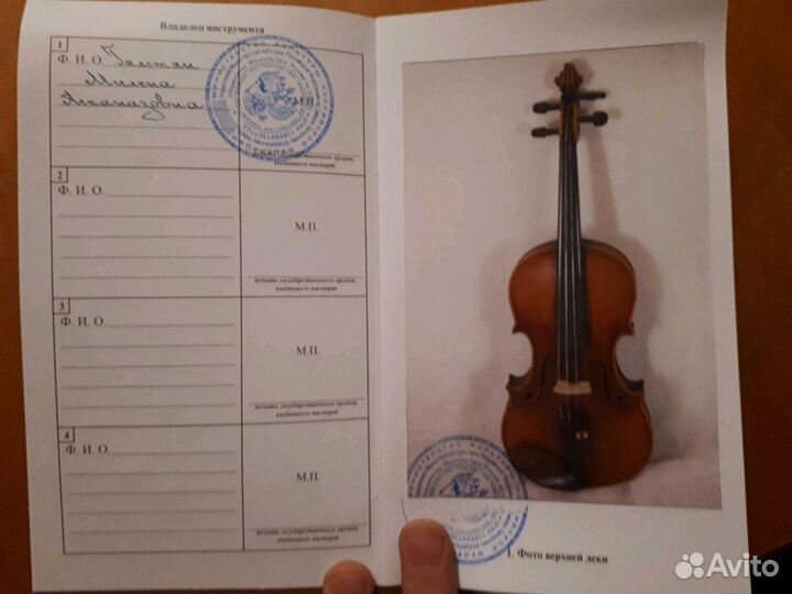 Скрипка