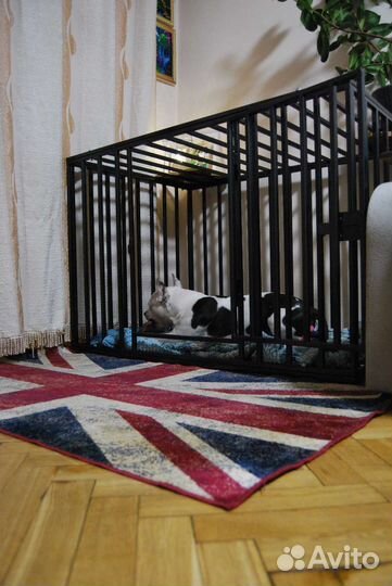 Антивандальные усиленные клетки для собак