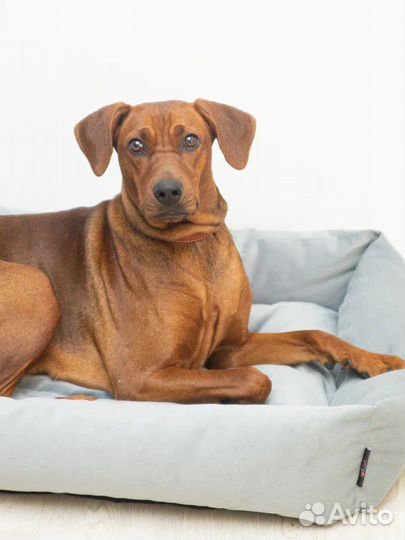 Лежанка для собак и кошек