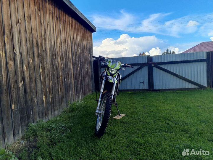 Райсер пантера 200