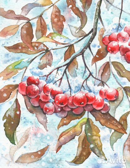 Рябина акварель