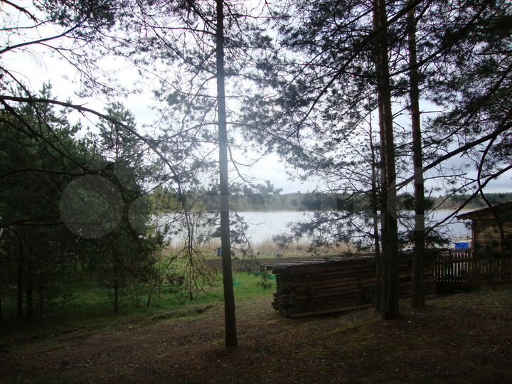 Участок 50 сот. (ИЖС)