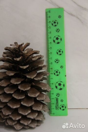 Шишки в ассортименте