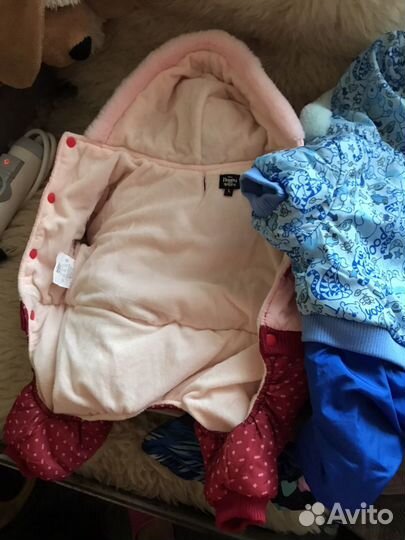 Одежда для собак