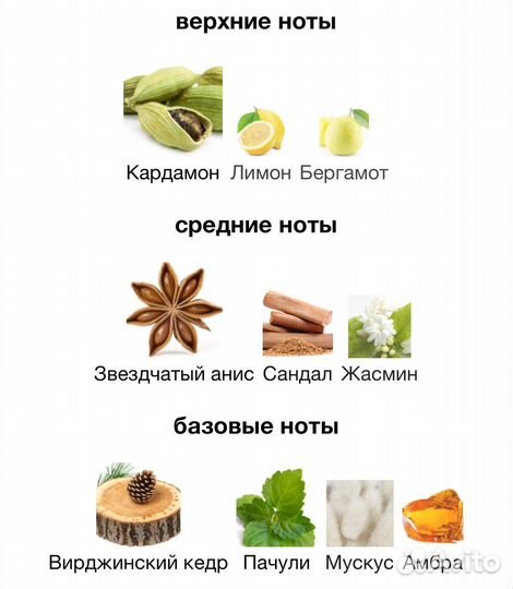 Cigar Commander Remy Latour, винтаж 2004