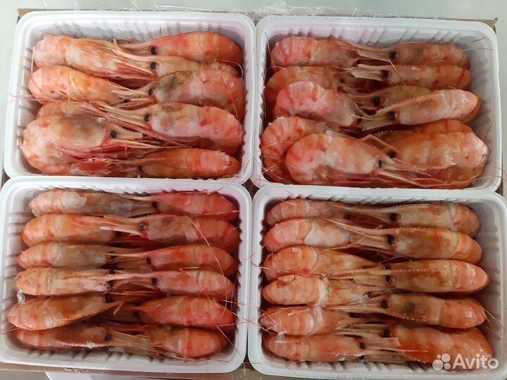 Креветки Ботан