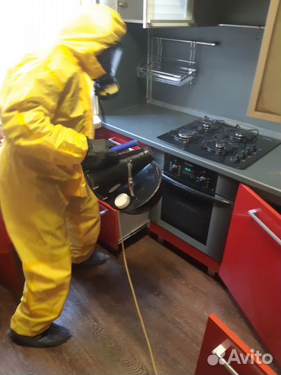 Уничтожение тараканов клопов блох муравьев клещей