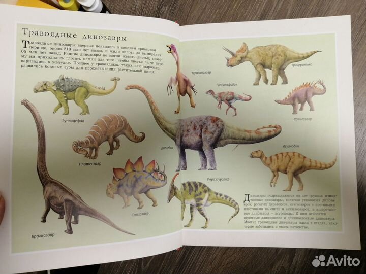 Необыкновенные приключения Пети и Маши