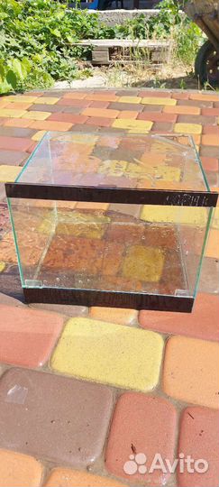 Аквариум; Террариум