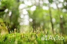 Объектив Tamron 35mm F/2.8 Di III OSD sony e