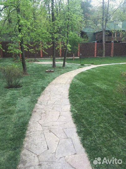 Рулонный газон