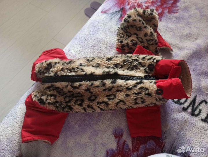 Одежда для маленьких собак