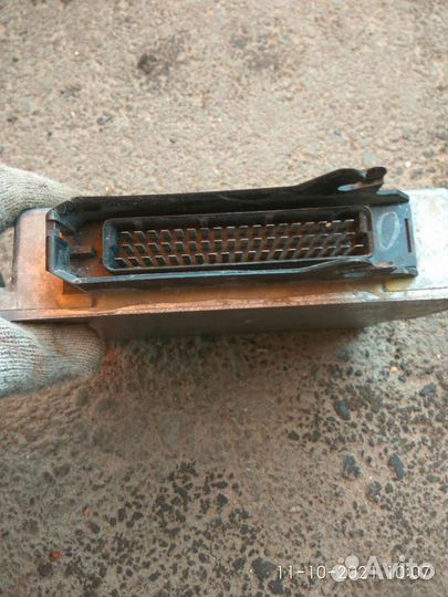 Мозги газел.волга микас 5.4