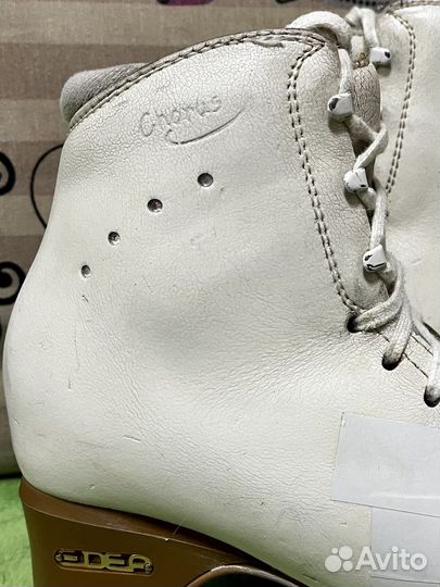 Коньки edea chorus 245