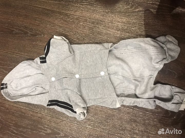 Одежда для собак